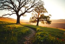 inversión a largo plazo