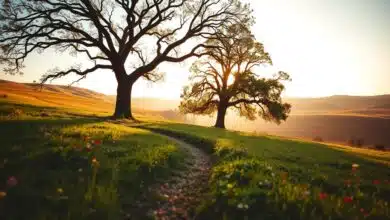 inversión a largo plazo